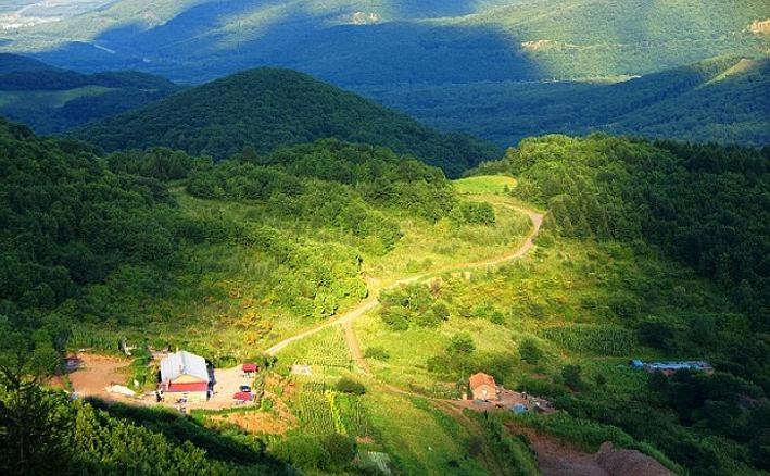 深圳老师傅告诉你哪里算命准:八字克父克妻,不聚财的男命 深圳老师傅告诉你哪里算命准:八字克父克妻,不聚财的男命